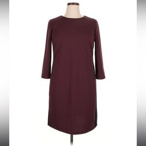 Alyx  Sheath Cranberry Color with Black Accent Along Side Dress
